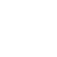 euro