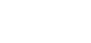 checkpoint logo bel