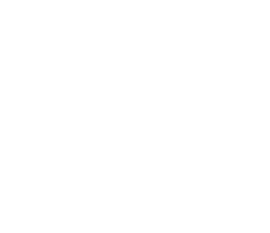 Speed Connect Austria logo white