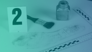 Diagnostika zmogljivosti in forenzični vpogled